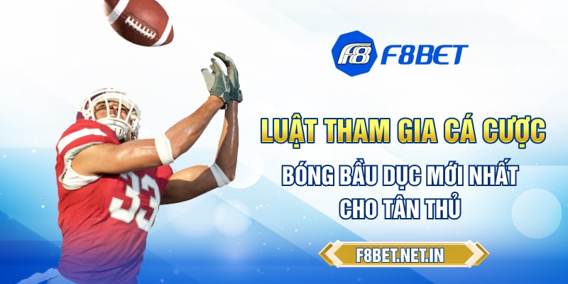 Luật tham gia cá cược bóng bầu dục mới nhất cho tân thủ
