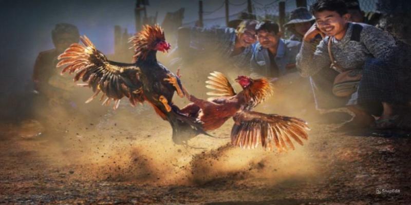 Kinh nghiệm lựa chọn kèo phù hợp